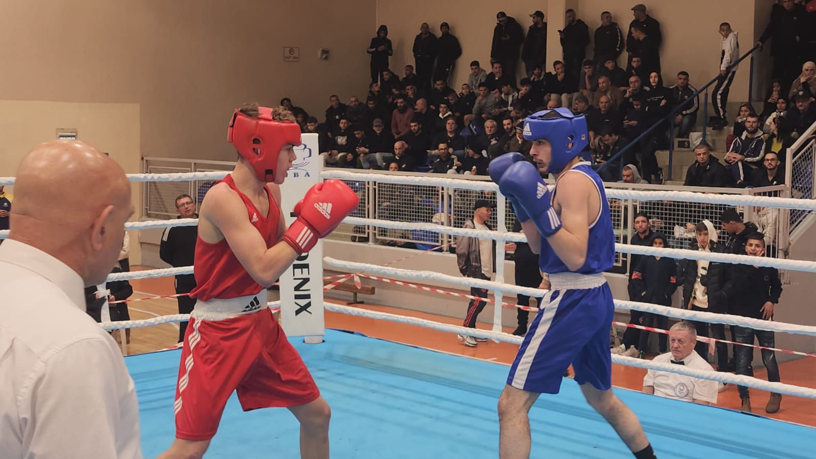 WhatsApp Image 2023-02-04 at 10.43.37 PM.jpeg